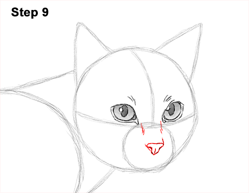 Siamese Cat Drawing 9 Draw Siamese Cat 9