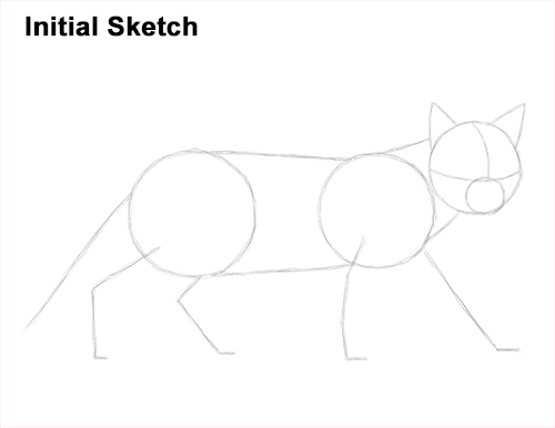 Siamese Cat Drawing Initial Sketch Draw Siamese Cat Initial Sketch