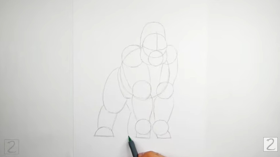 How to Draw a Gorilla Guidelines