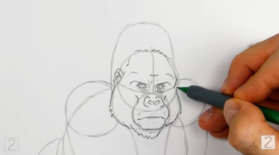How to Draw a Gorilla Body Guides