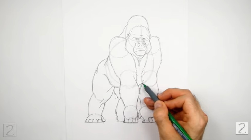 How to Draw a Gorilla Lower Body Guides
