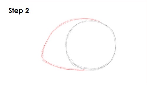Snail Drawing 2 Draw Snail 2