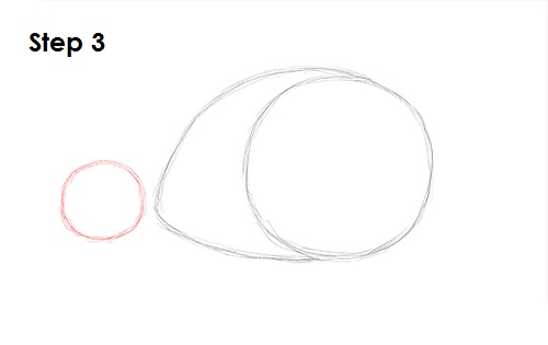Snail Drawing 3 Draw Snail 3