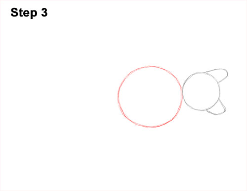 How to Draw Alligator Snapping Turtle Snapper 3