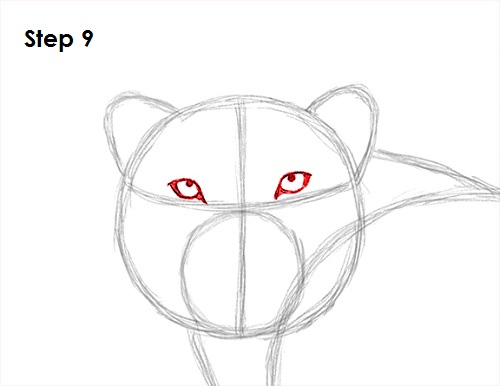 Draw Snow Leopard 9