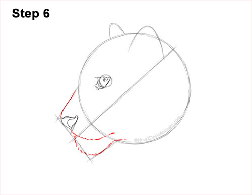 Draw a Snow Leopard Head 6 How to Draw a Snow Leopard Head Detail 6