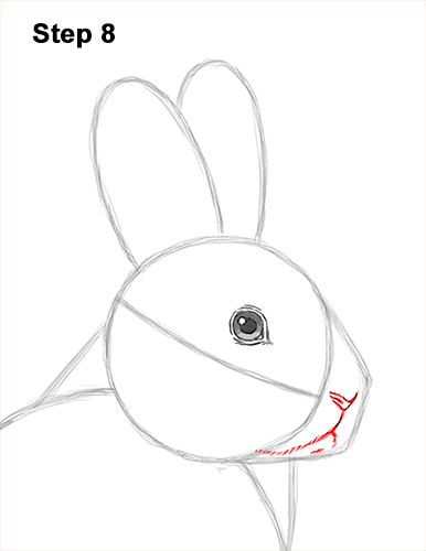How to Draw a Snowshoe Hare Rabbit Sitting 8