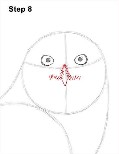 Snowy Owl Drawing 8 Draw Snowy Owl 8
