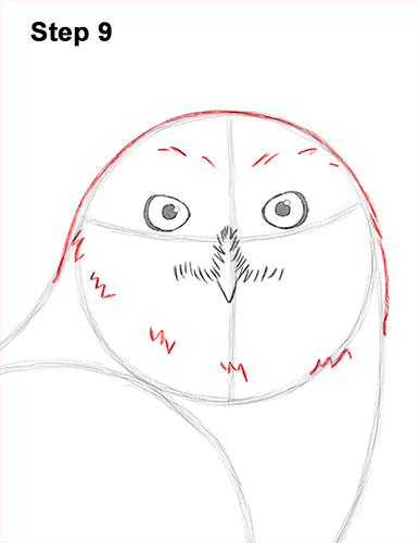 Snowy Owl Drawing 9 Draw Snowy Owl 9