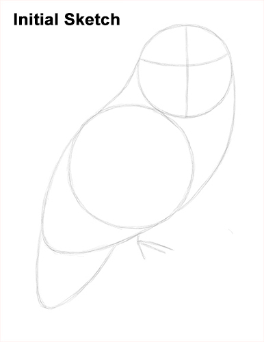 Snowy Owl Drawing Sketch Draw Snowy Owl Sketch