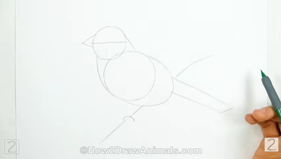 Guidelines Initial Pencil Sketch