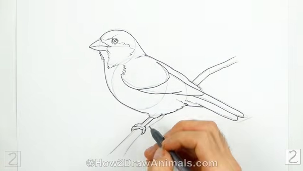 Ink Your Drawing