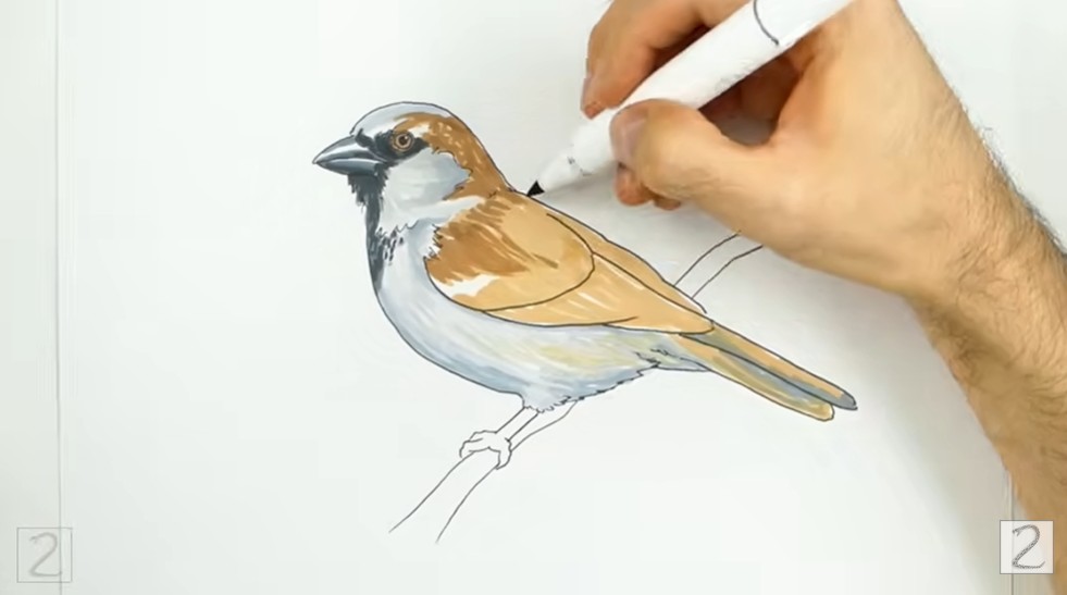 Begin Adding color