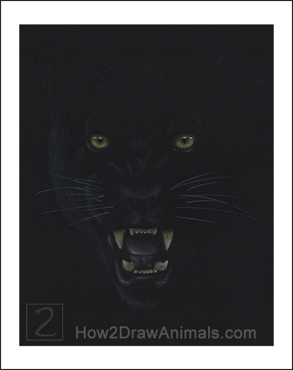 Special Black Panther Portrait Drawing