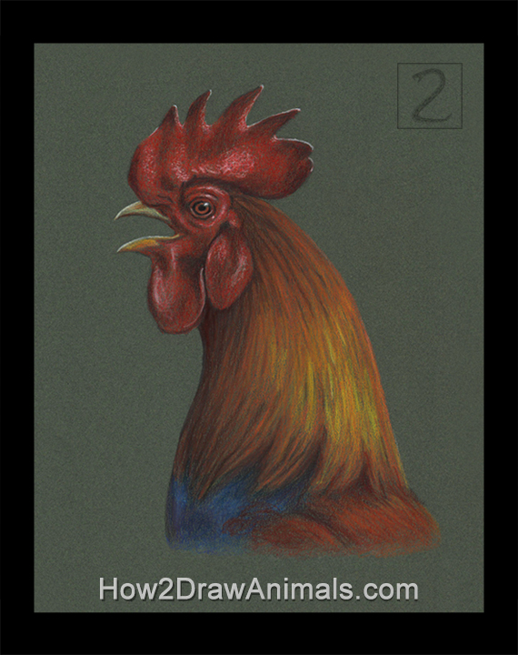 Rooster Portrait Special Rooster Crowing Portrait Drawing