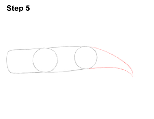 Draw a Sperm Whale 5 How to Draw a Sperm Whale Side 5
