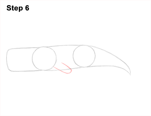 How to Draw a Sperm Whale Side 6