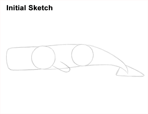How to Draw a Sperm Whale Side Guides Lines