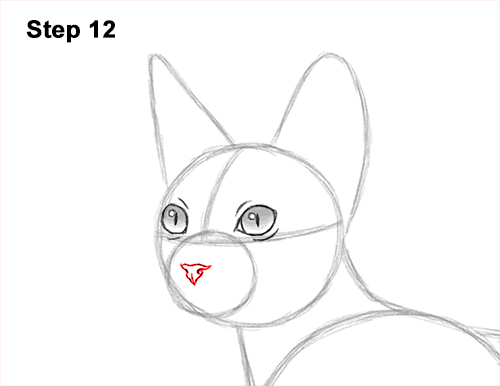How to Draw a Sphynx Hairless Cat 12