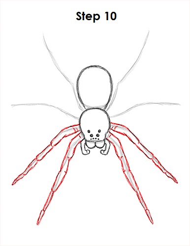 Draw Spider 10
