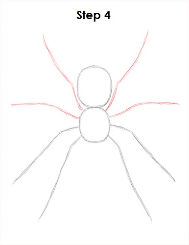 Spider Drawing 4 Draw Spider 4
