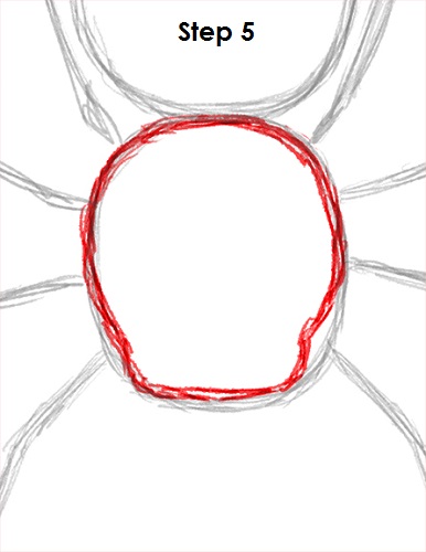 Spider Drawing 5 Draw Spider 5