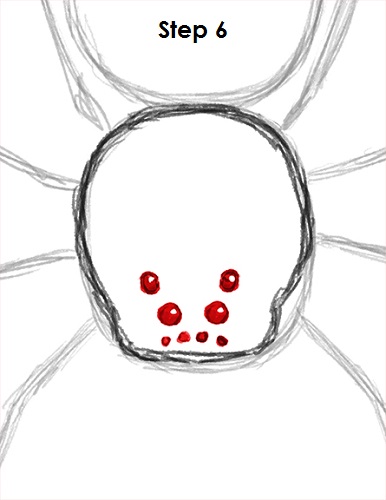 Spider Drawing 6 Draw Spider 6