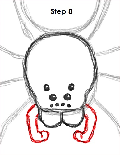 Spider Drawing 8 Draw Spider 8