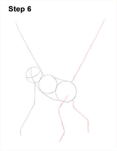 Draw Spider Monkey 6