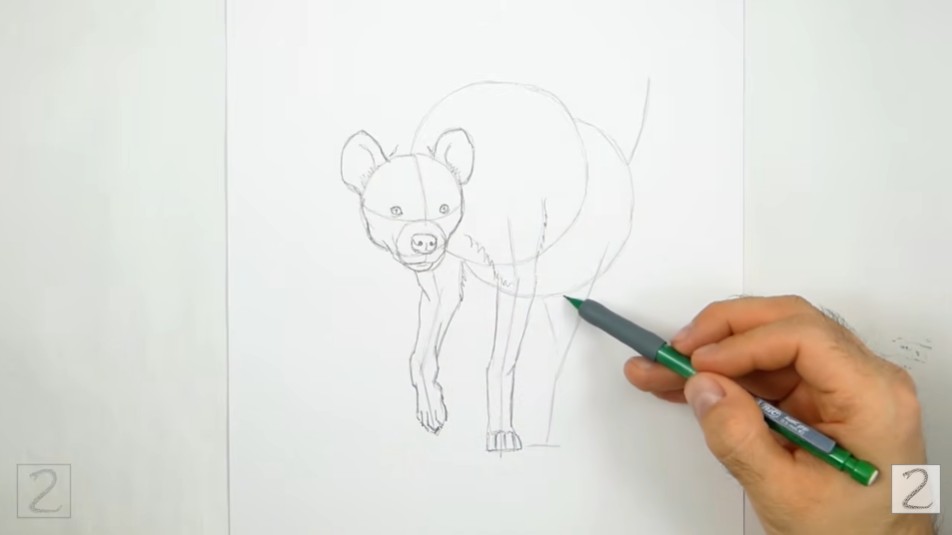 Add the Front Legs Add the Front Legs