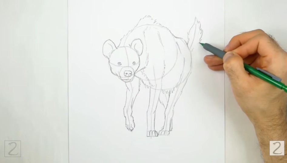 Finish Up the Body and Tail Finish Up the Body and Tail