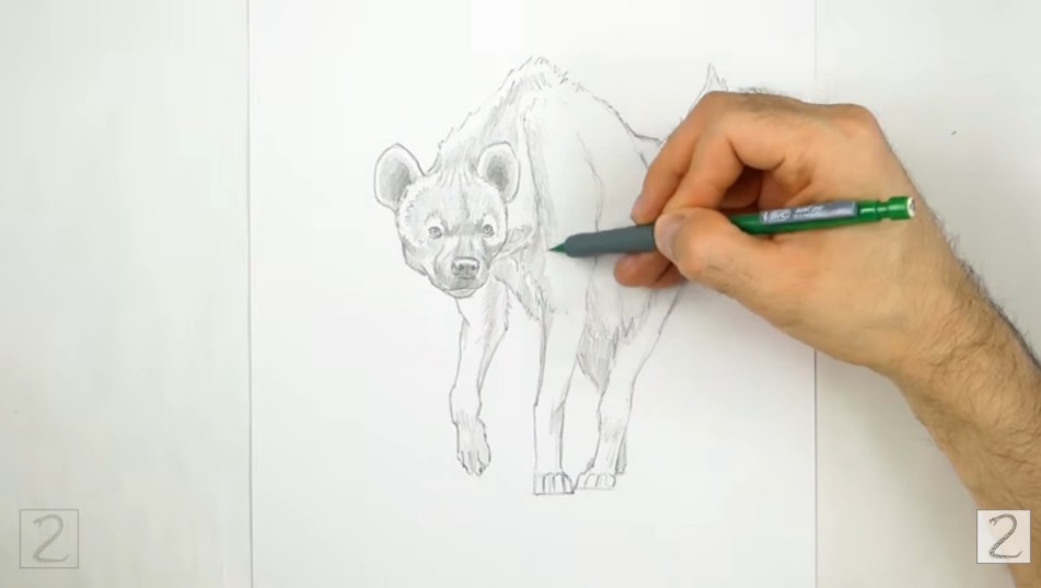 Begin Shading Begin Shading