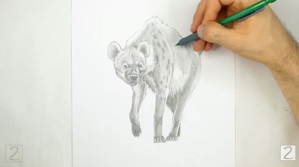 Start Adding Spots Start Adding Spots