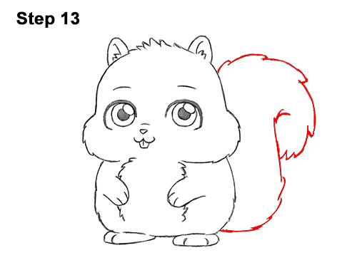 Draw a Cartoon Squirrel 13 How to Draw Cute Cartoon Squirrel Chibi 13
