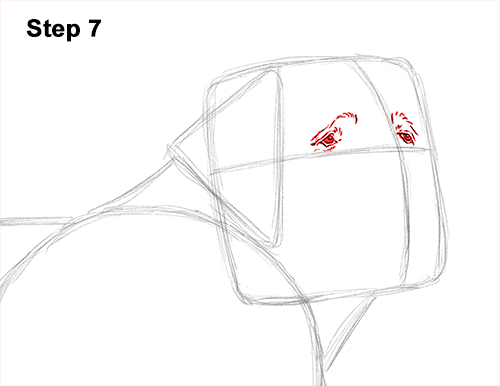 Draw St. Bernard Dog 7