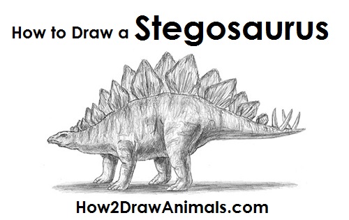 How to Draw a Stegosaurus Dinosaur Side View