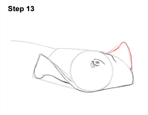How to Draw a southern common Stingray swimming 13