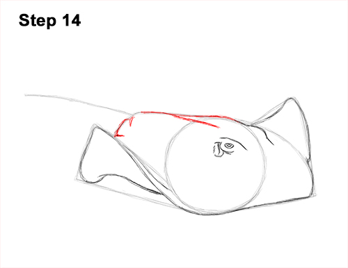 How to Draw a southern common Stingray swimming 14