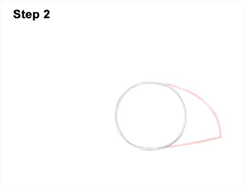 Draw a southern Stingray 2 How to Draw a southern common Stingray swimming 2