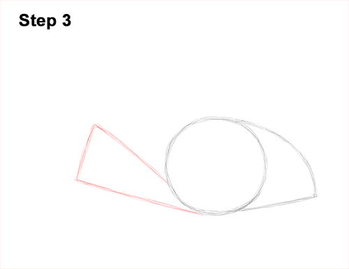 Draw a southern Stingray 3 How to Draw a southern common Stingray swimming 3