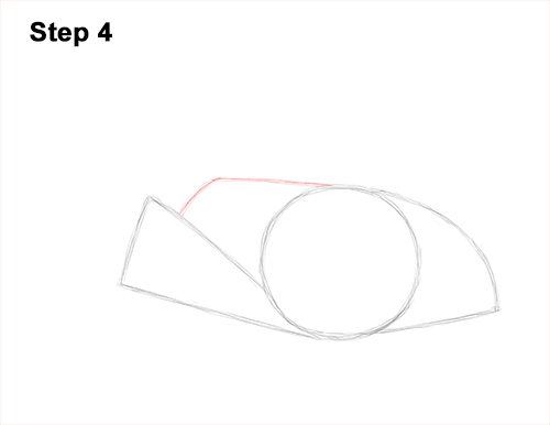 Draw a southern Stingray 4 How to Draw a southern common Stingray swimming 4