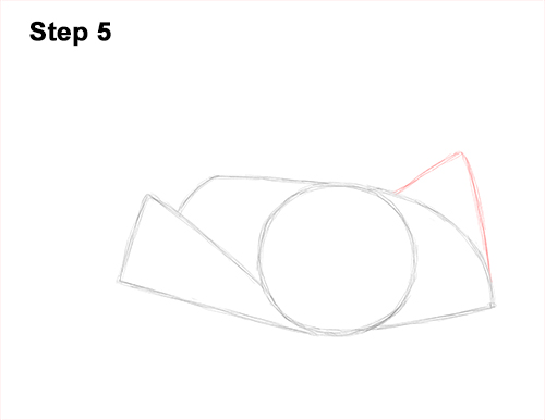 Draw a southern Stingray 5 How to Draw a southern common Stingray swimming 5