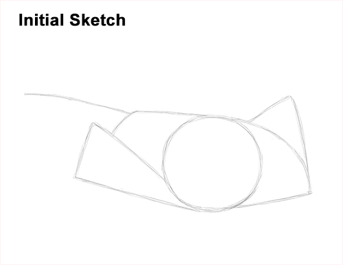 How to Draw a southern common Stingray swimming Guide Lines