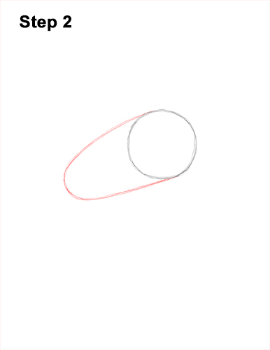 How to Draw a White Stork Bird Side View 2