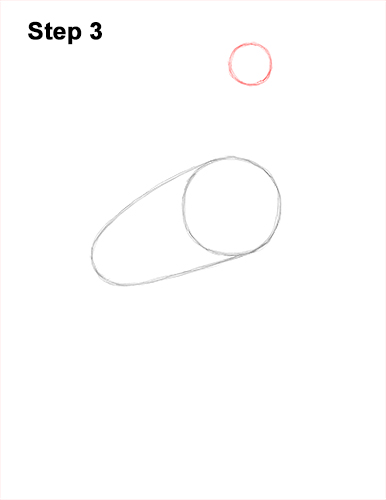 How to Draw a White Stork Bird Side View 3