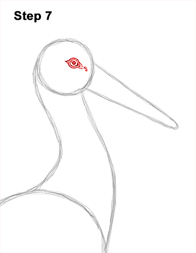 How to Draw a White Stork Bird Side View 7
