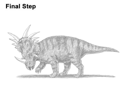 Draw Styracosaurus Dinosaur How to Draw Styracosaurus Dinosaur Horns Charging