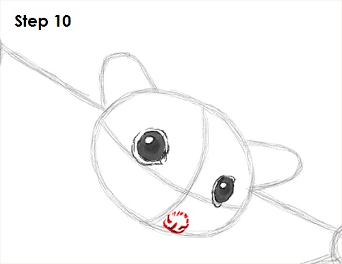 Sugar Glider Drawing 10 Draw Sugar Glider 10