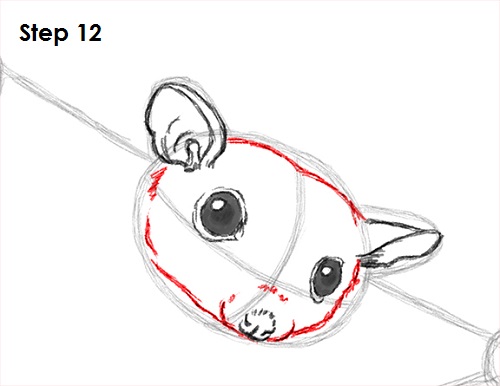 Sugar Glider Drawing 12 Draw Sugar Glider 12