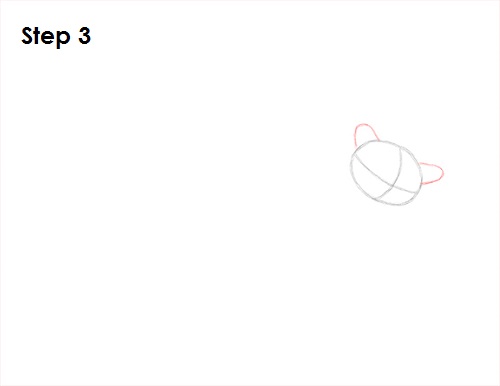 Sugar Glider Drawing 3 Draw Sugar Glider 3